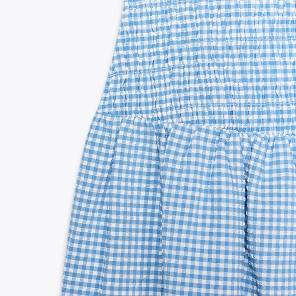 Zara Gingham Sleeveless Drop Waist Midi Dress| Blue & White | Size Medium - Picture 6 of 10